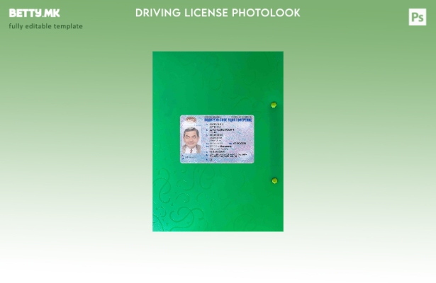 модерен стил Донецк возачка дозвола photolook ПРЕДЕН шаблон